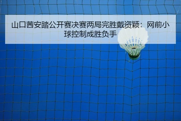 山口茜安踏公开赛决赛两局完胜戴资颖：网前小球控制成胜负手